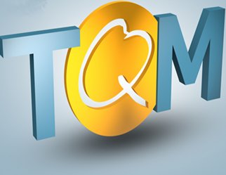 Top Quality Management - Cursuri de initiere,specializare, perfectionare Bucuresti